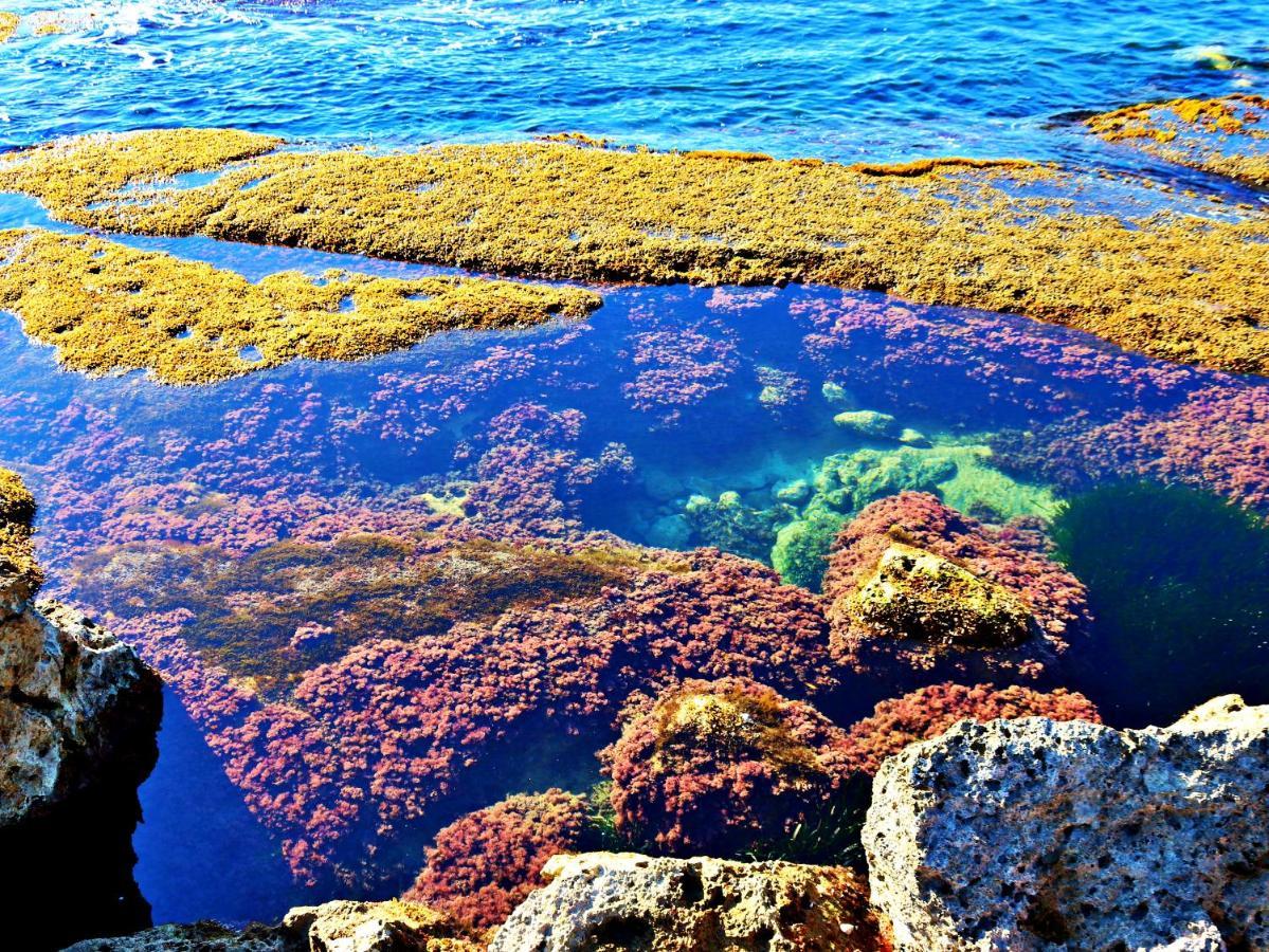 Anemone Della Scala Dei Turchi Appartement Realmonte Buitenkant foto